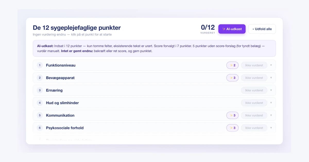 Illustration af AI-udkast til de 12 sygeplejefaglige punkter i Validi med anbefalede scorer.