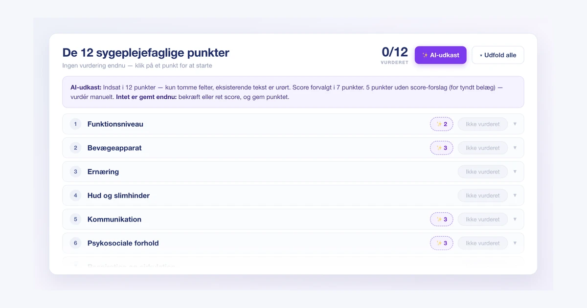 Illustration af AI-udkast til de 12 sygeplejefaglige punkter i Validi med anbefalede scorer.